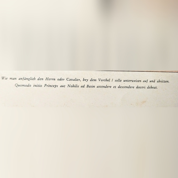 Antique Print - Horse Riding/Training - Equestrian Art - Picture 6 of 12